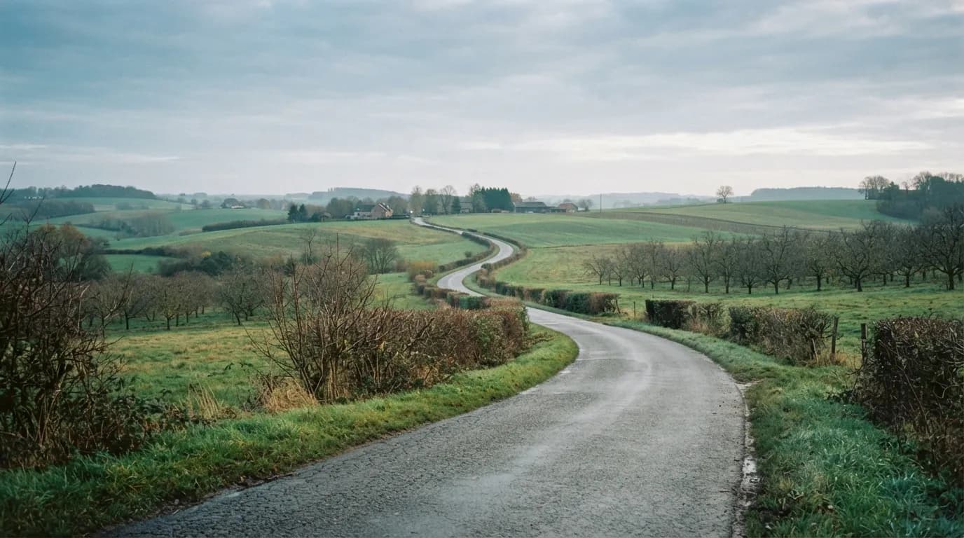 Glooiende velden en een landweg in Haspengouw